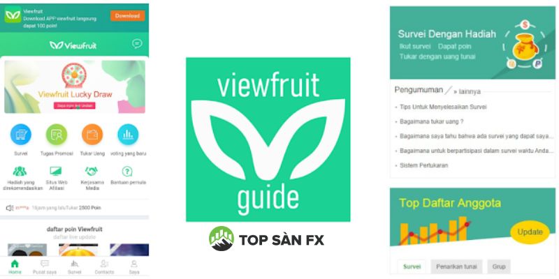 Viewfruit lừa đảo đúng hay sai?