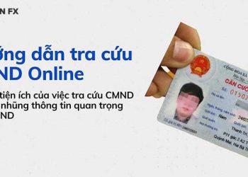 Hướng dẫn cách tra cứu số CMND online nhanh chóng nhất