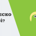 CoinGecko là gì?