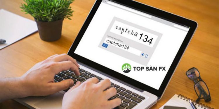 Nhập captcha kiếm tiền online có lừa đảo hay không?