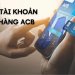 Sao kê tài khoản ngân hàng ACB