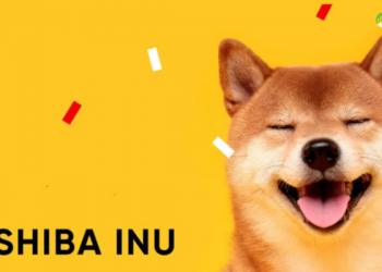 Shiba Inu đã giảm gần 17% trong 7 ngày qua