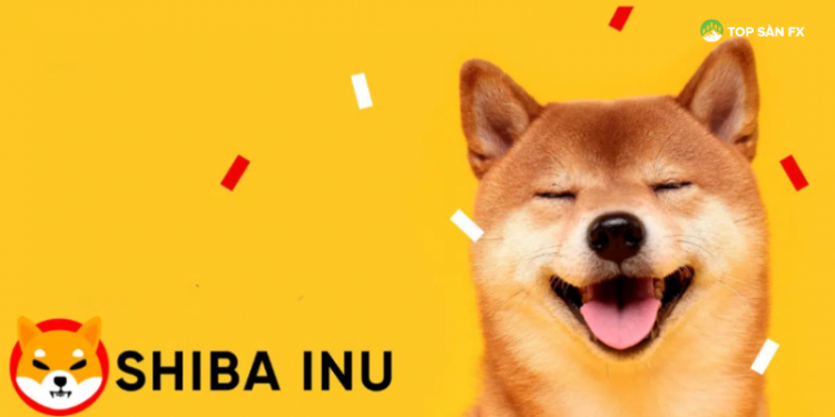 Shiba Inu đã giảm gần 17% trong 7 ngày qua
