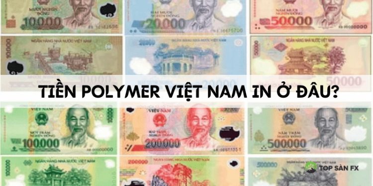 Giải đáp: Tiền polymer Việt Nam in ở đâu? 