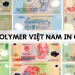 Giải đáp: Tiền polymer Việt Nam in ở đâu? 