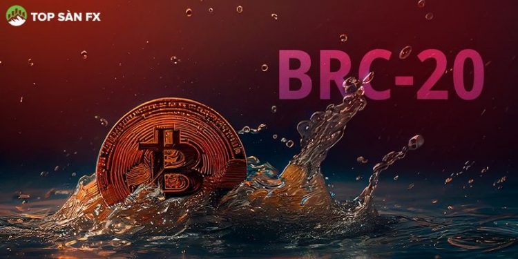 BRC-20 là gì? Cách giao dịch BRC-20 Token từ ví UniSat