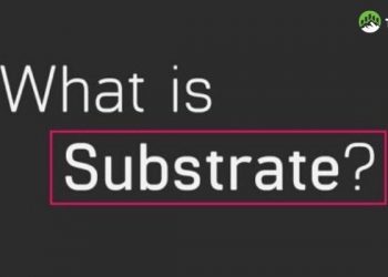 Substrate là gì? Mối quan hệ giữa Substrate và Polkadot