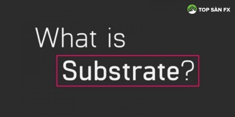 Substrate là gì? Mối quan hệ giữa Substrate và Polkadot