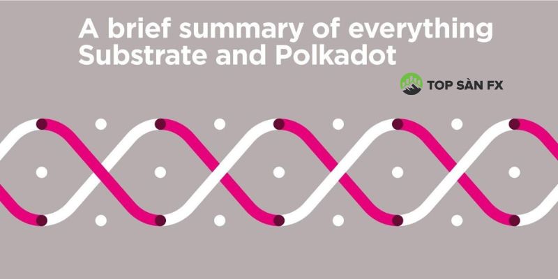 Polkadot Substrate là gì?