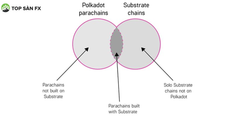 Mối quan hệ giữa Substrate và Polkadot