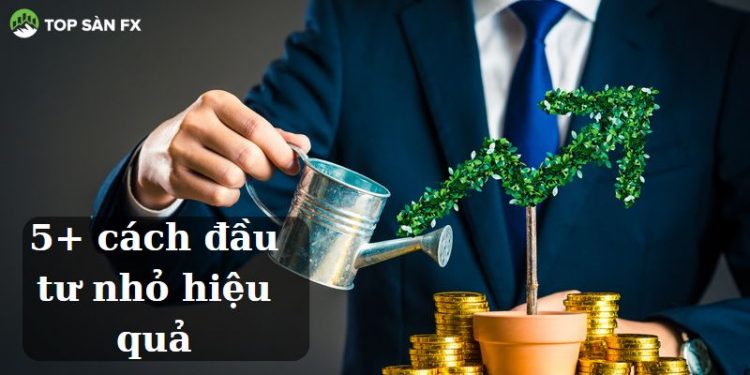 5+ cách đầu tư nhỏ hiệu quả dễ dàng sinh lời nhanh