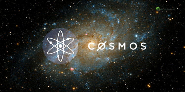 Cosmos