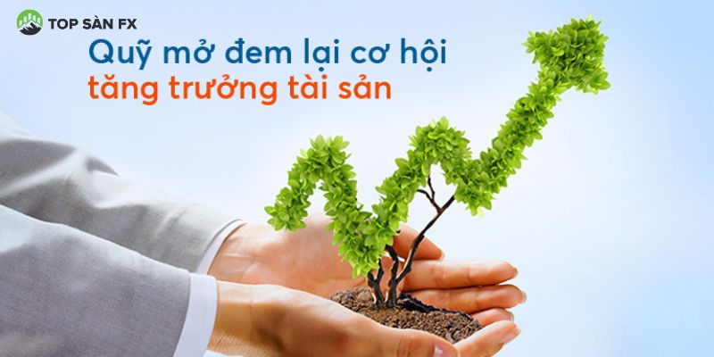 Đầu tư tiền nhàn rỗi vào các quỹ mở 