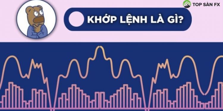 Khớp lệnh là gì? Nguyên tắc khớp lệnh chứng khoán là gì?