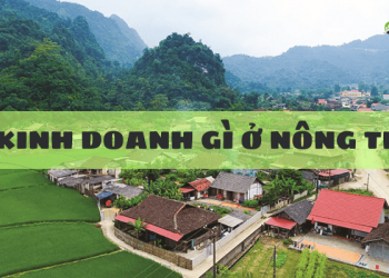 Nên kinh doanh gì ở nông thôn?