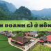 Nên kinh doanh gì ở nông thôn?