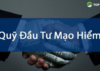Quỹ đầu tư mạo hiểm là gì? Top 5 quỹ đầu tư mạo hiểm ở Việt Nam