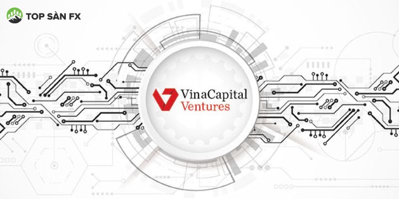 VinaCapital Ventures (VCV)