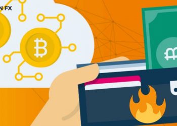 Ví nóng là gì? Cập nhật các loại ví nóng tốt nhất hiện nay