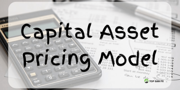 Capital Asset Pricing Model