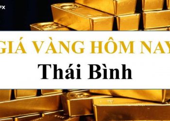 Giá vàng Thái Bình - Vàng Mão Thiệt Thái Bình giá bao nhiêu 1 chỉ?