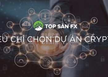 Tiêu chí chọn dự án Crypto tiềm năng đầu tư 2024