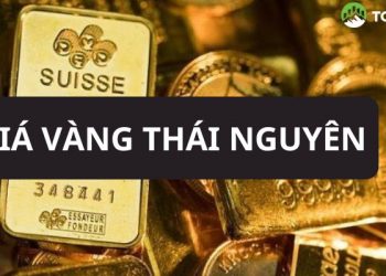 Giá vàng Thái Nguyên hôm nay bao nhiêu tiền 1 chỉ?