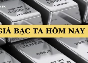 Bạc ta hay bạc 925 đắt hơn? Giá bạc ta hôm nay bao nhiêu?