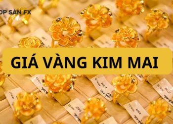 Giá vàng Kim Mai hôm nay? Tỷ giá UDS tại tiệm vàng Kim Mai 