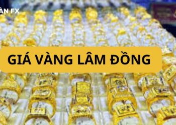 quynhshyn9@gmail.com