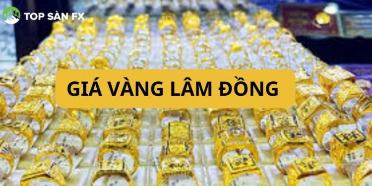 quynhshyn9@gmail.com