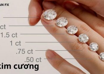 Size kim cương là gì? Giá kim cương hôm nay bao nhiêu tiền?