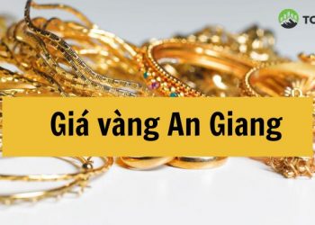 Giá vàng An Giang hôm nay bao nhiêu? Các tiệm vàng uy tín tại An Giang