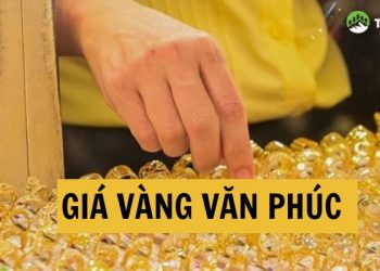 Giá vàng Văn Phúc Đại Từ Thái Nguyên hôm nay tăng hay giảm?