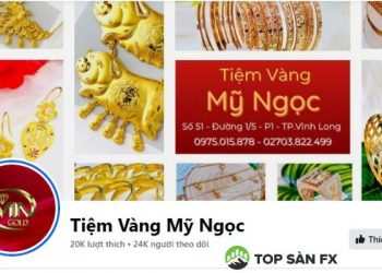 Tiệm vàng Mỹ Ngọc ở đâu? Giá vàng tiệm vàng Mỹ Ngọc Vĩnh Long
