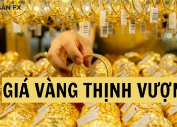 Giá Vàng Thịnh Vượng Nam Định hôm nay bao nhiêu tiền 1 chỉ?