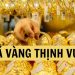 Giá Vàng Thịnh Vượng Nam Định hôm nay bao nhiêu tiền 1 chỉ?