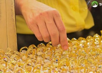 Tiệm vàng Kim Phượng ở đâu? Giá vàng Kim Phượng bao nhiêu?