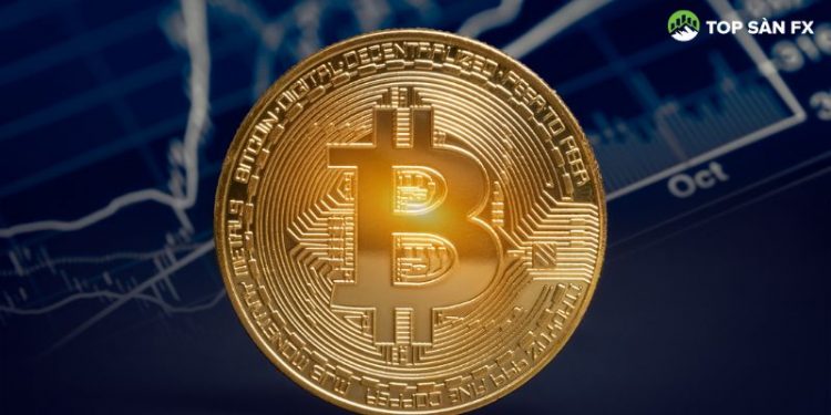 CryptoQuant cảnh báo về giá Bitcoin trước sự suy giảm hoạt động