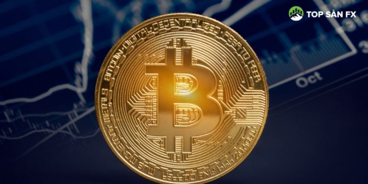 Cựu kỹ sư muốn mua bãi rác có ổ cứng Bitcoin 780 triệu USD