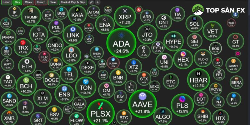 Các altcoin lớn cũng ghi nhận mức tăng mạnh
