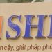 Cổ phiếu SHB tăng trần khi thanh khoản đột biến 1.000 tỷ đồng