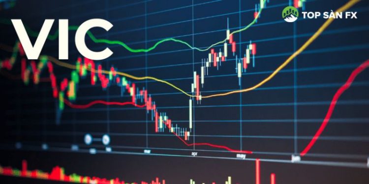 Cổ phiếu VIC - Vingroup tăng trần lên 51.400 đồng/cp