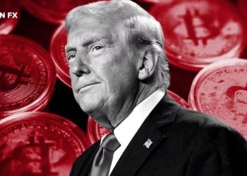 Giá Bitcoin 'cắm đầu' sau sắc lệnh mới của Tổng thống Trump