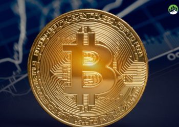 Nhà phê bình Schiff dự đoán giá Bitcoin sẽ còn giảm mạnh