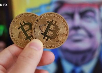 Ông Donald Trump thổi bay "vị thế" thống trị của Bitcoin