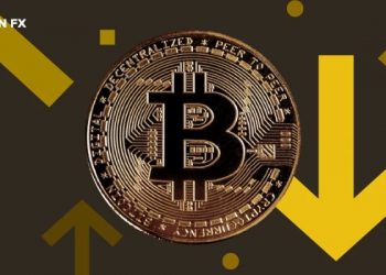 Bitcoin HODLers giảm xuống mức thấp nhất dưới 85,000 USD