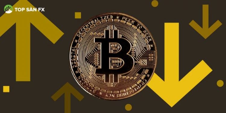 Bitcoin HODLers giảm xuống mức thấp nhất dưới 85,000 USD