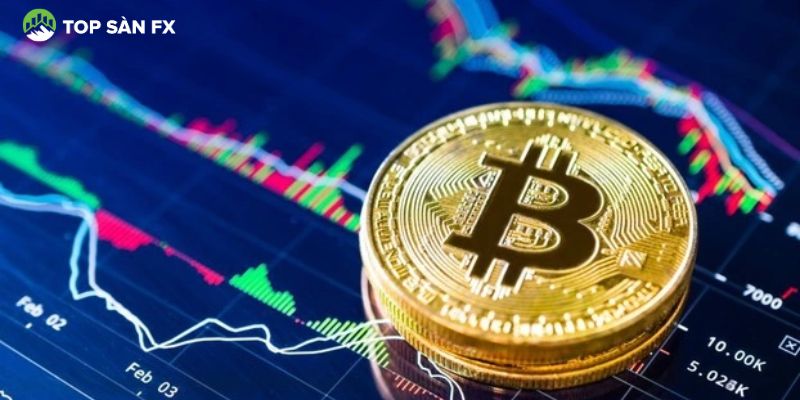 Liệu Bitcoin và dòng tiền lớn đang dẫn dắt đà tăng giá mới?