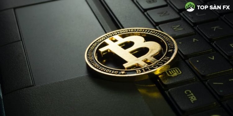 Liệu thị trường Bitcoin có sắp sụp đổ lại lần nữa hay không?